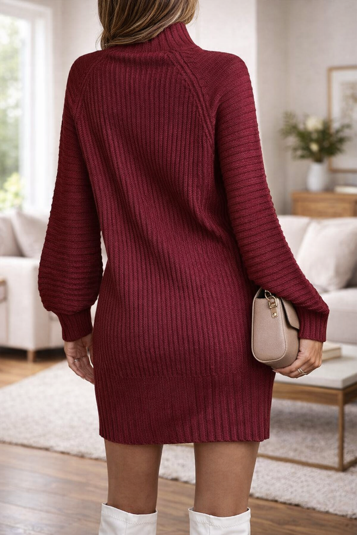 Ribbed polo collar sweater dress for women