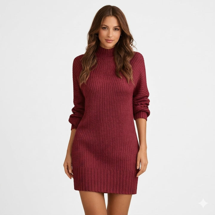 Ribbed Turtleneck Knit Mini Dress for Women - front view