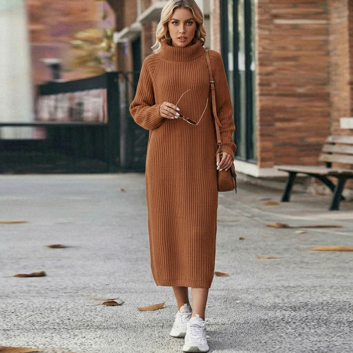 Roll neck knit sweater dress for women